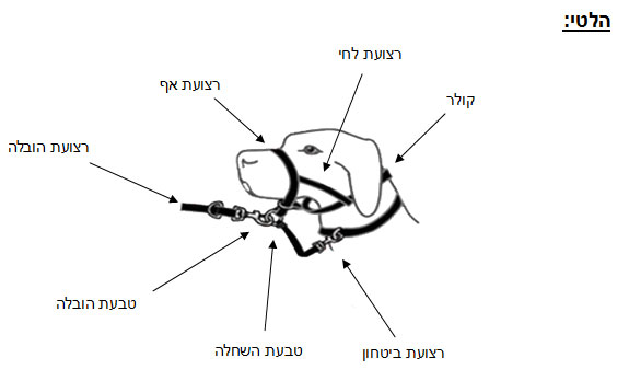 halti